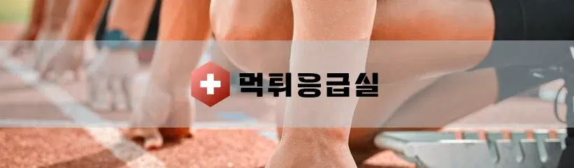 메이저놀이터 순위​