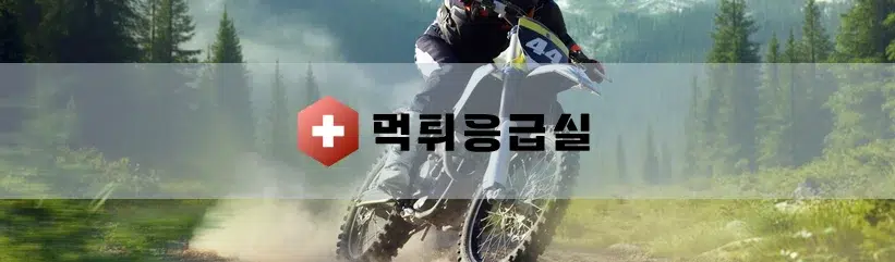 안전한 메이저놀이터 선택의 중요성​